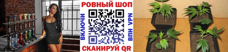 Где можно купить наркотики Ленинск-Кузнецкий Cocaine А ПВП Меф мяу мяу БУТИРАТ АМФЕТАМИН Канабис Гашиш