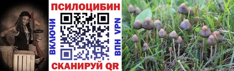 Галлюциногенные грибы Psilocybe  Ленинск-Кузнецкий 
