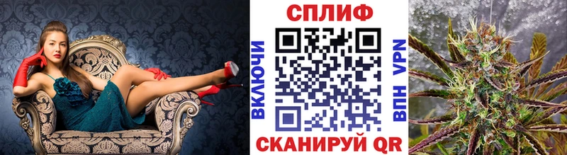 Бошки Шишки VHQ  Ленинск-Кузнецкий 
